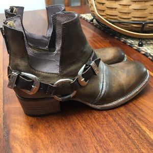 Freebird by Steven - Truce